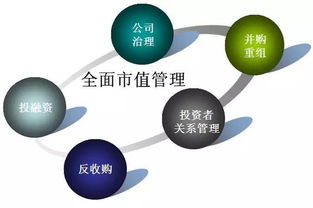 上市公司市值管理的六大模式詳解 天瓴投資專業(yè)視角解讀